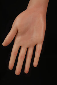 Normal  Hand-1